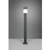 Trio AVON path light LED anthracite, 1-light source, Motion sensor