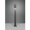 Trio AVON path light LED anthracite, 1-light source, Motion sensor