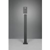 Trio AVON path light LED anthracite, 1-light source, Motion sensor