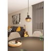 Eglo YORTH Pendant Light black, silver, 1-light source