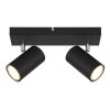 Globo ROBBY Ceiling Light black, 2-light sources