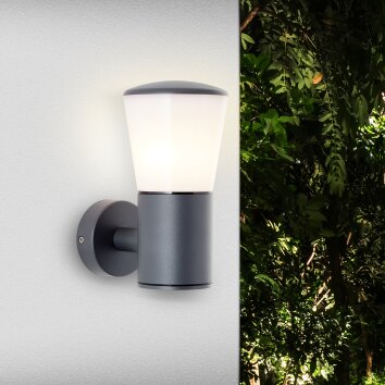 Sensor Light, Security Light, Brilliant Lighting