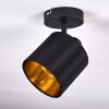 Ceiling Light Alsen black, 1-light source