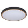 Globo SAMMI Ceiling Light LED brass, black, white, 1-light source