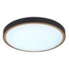 Globo SAMMI Ceiling Light LED brass, black, white, 1-light source