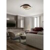 Trio Caya Ceiling Light LED brass, black, 1-light source