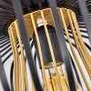 Oravi Ceiling Light black-gold, 1-light source