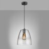 Fischer & Honsel Miro Pendant Light black, 1-light source