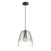 Fischer & Honsel Miro Pendant Light black, 1-light source