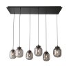 Fischer & Honsel Regi Pendant Light black, 6-light sources