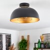 Wambez Ceiling Light black, 1-light source