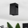 Prassinet Ceiling Light black, 1-light source