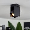 Prassinet Ceiling Light black, 1-light source