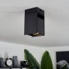 Prassinet Ceiling Light black, 1-light source