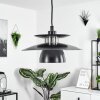 Pietranera Pendant Light black, 1-light source