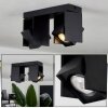 Prassinet Ceiling Light black, 2-light sources