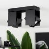 Prassinet Ceiling Light black, 2-light sources