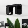 Prassinet Ceiling Light black, 2-light sources