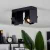 Prassinet Ceiling Light black, 2-light sources