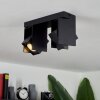 Prassinet Ceiling Light black, 2-light sources