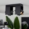 Prassinet Ceiling Light black, 2-light sources