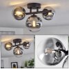 Chehalis Ceiling Light black, 3-light sources