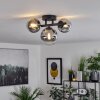 Chehalis Ceiling Light black, 3-light sources