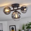 Chehalis Ceiling Light black, 3-light sources