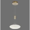 Paul Neuhaus Q-ETIENNE Pendant Light LED brass, 1-light source, Remote control