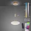 Paul Neuhaus Q-ETIENNE Pendant Light LED brass, 1-light source, Remote control