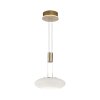 Paul Neuhaus Q-ETIENNE Pendant Light LED brass, 1-light source, Remote control