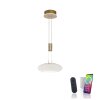 Paul Neuhaus Q-ETIENNE Pendant Light LED brass, 1-light source, Remote control