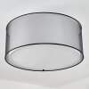 Cerdedo Ceiling Light white, 3-light sources