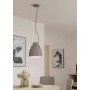 Eglo CAMASCA Pendant Light Taupe, 1-light source