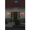 Konstsmide Carpi Outdoor Wall Light brass, 1-light source