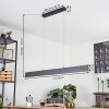 Brun Pendant Light LED anthracite, 2-light sources, Remote control