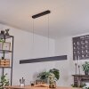 Brun Pendant Light LED anthracite, 2-light sources, Remote control