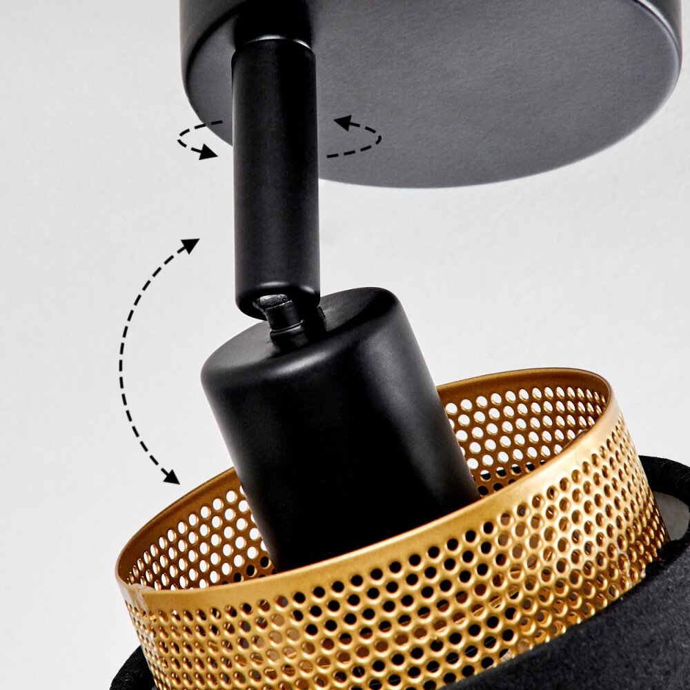 Regueira Ceiling Light black, 1-light source