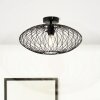 Brilliant Norden Ceiling Light black, 1-light source