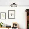 Brilliant Norden Ceiling Light black, 1-light source