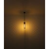 Globo HANS Pendant Light black, 1-light source