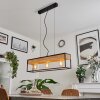 Colebrook Pendant Light black, 3-light sources