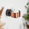 Sapri Wall Light copper, black, 1-light source