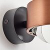 Sapri Wall Light copper, black, 1-light source