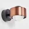 Sapri Wall Light copper, black, 1-light source