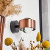 Sapri Wall Light copper, black, 1-light source