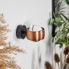 Sapri Wall Light copper, black, 1-light source