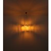 Globo LOIS Pendant Light brass, black, 1-light source