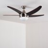 Ceiling Fan Morino brown, matt nickel, 2-light sources, Remote control