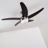 Ceiling Fan Morino brown, matt nickel, 2-light sources, Remote control